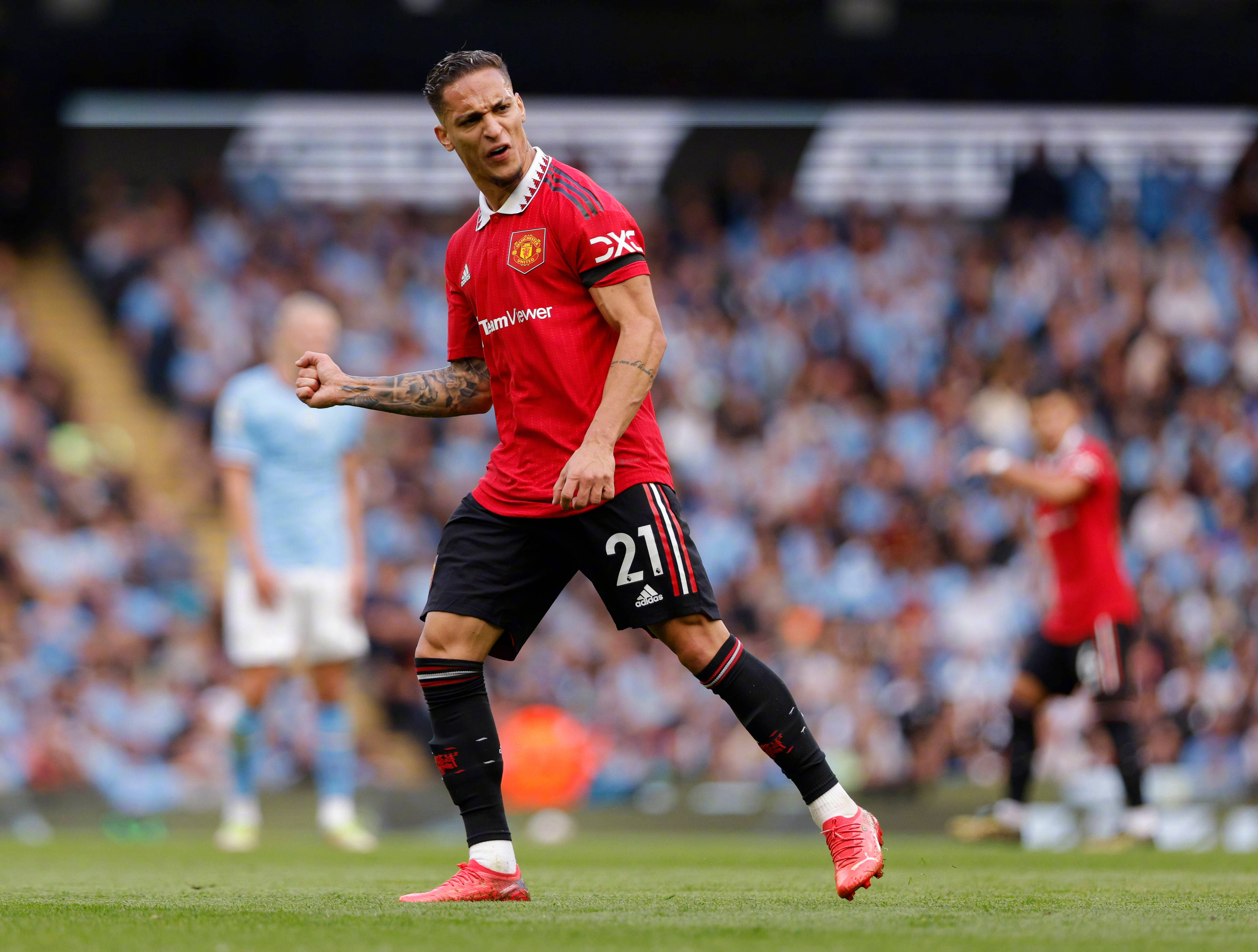 乔宇石齐洛格免费阅读